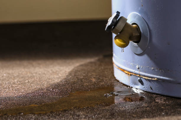 Best Water damage restoration near me  in Warwick, RI
