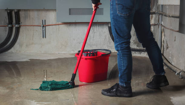 Best Local water damage restoration  in Warwick, RI