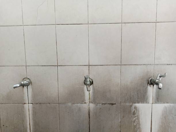 Best Flood damage cleanup  in Warwick, RI